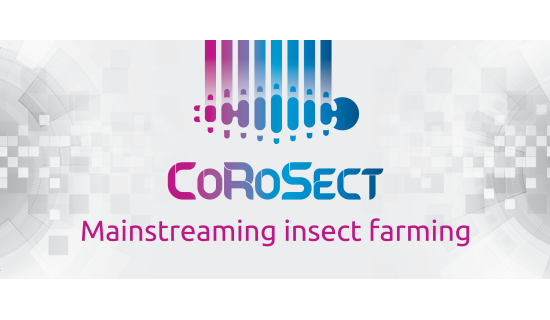 Logo CoRoSect