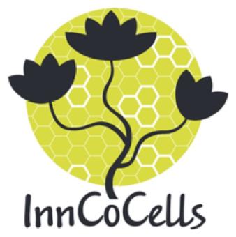Logo InnoCoCells