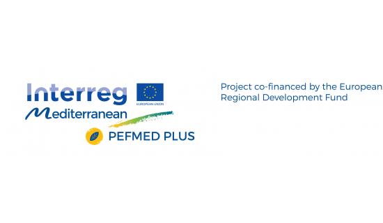 Logo progetto PEFMED PLUS