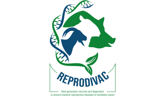 Logo REPRODIVAC
