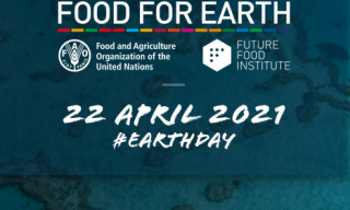 logo food for earth